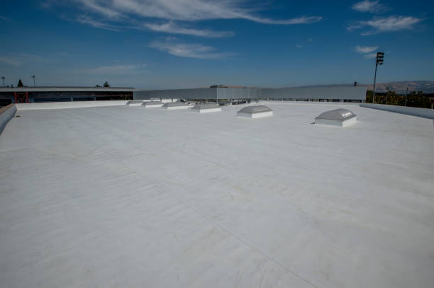 Best Metal Roofing Installation  in Pleasant Ridge, MI