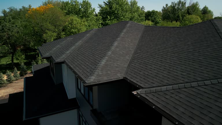 Best Asphalt Shingle Roofing  in Pleasant Ridge, MI